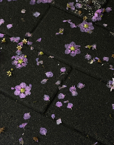 紫色系背景图 雨天背景图