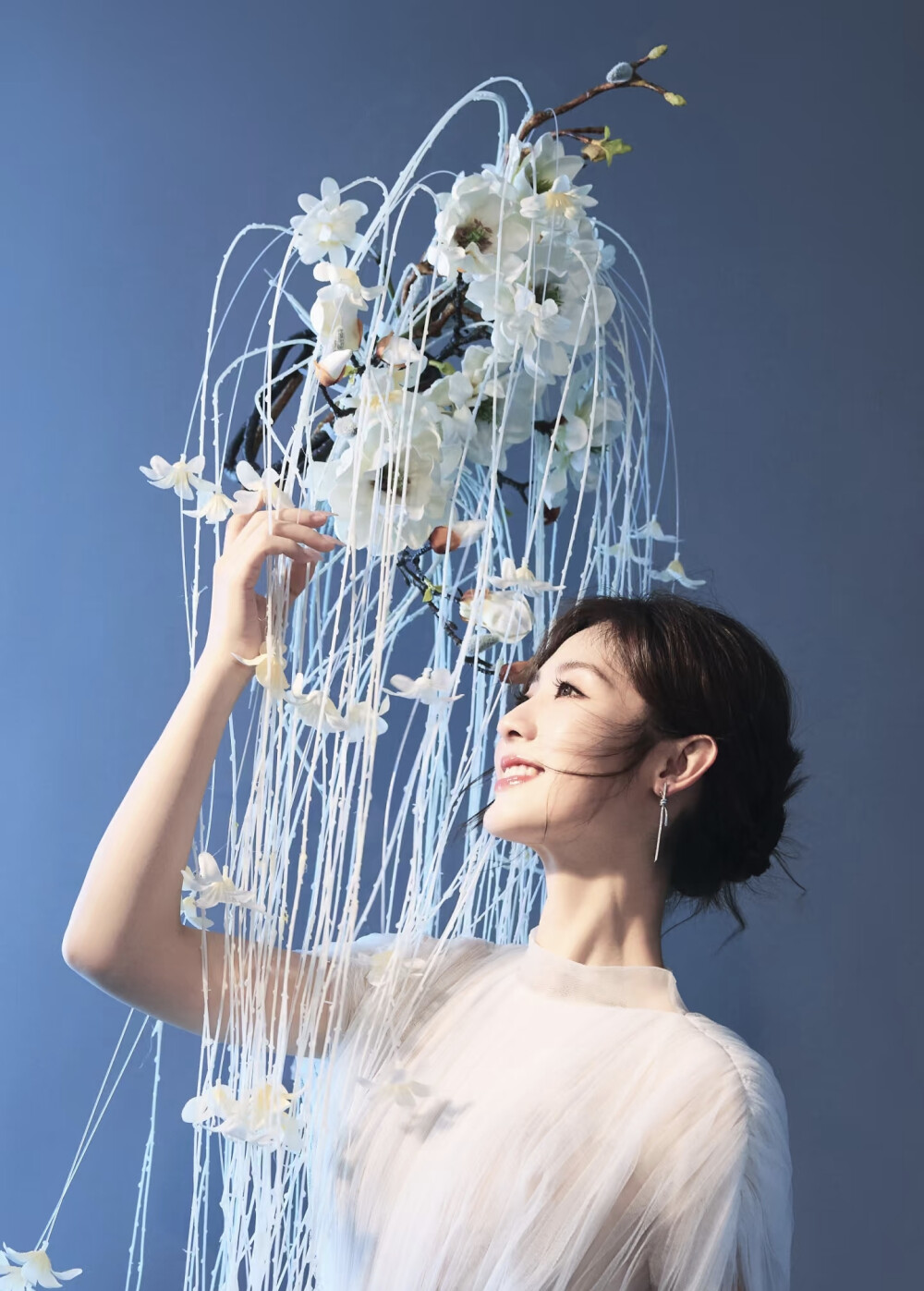 邢菲