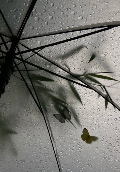 雨天背景图