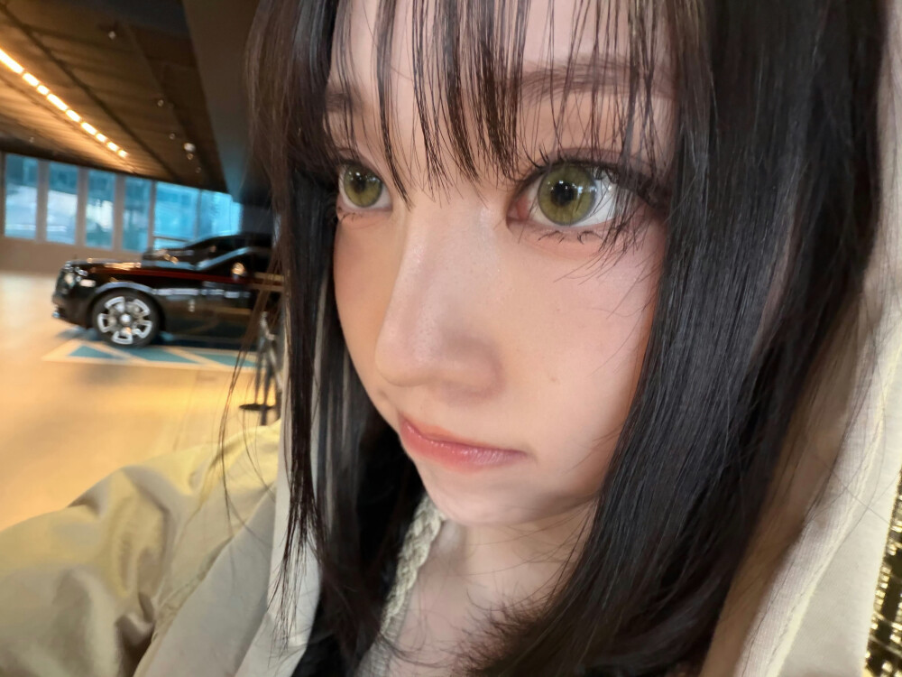 榕树