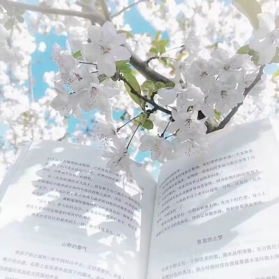 背景图