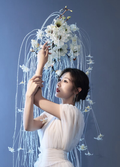 邢菲