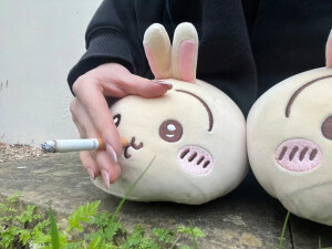 (´･ω･`)