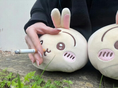 (´･ω･`)