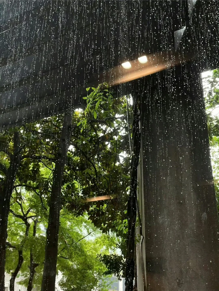 雨天背景图 绿色系背景图