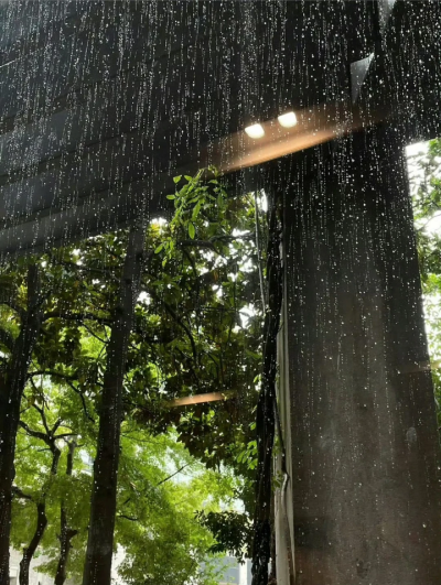 雨天背景图 绿色系背景图