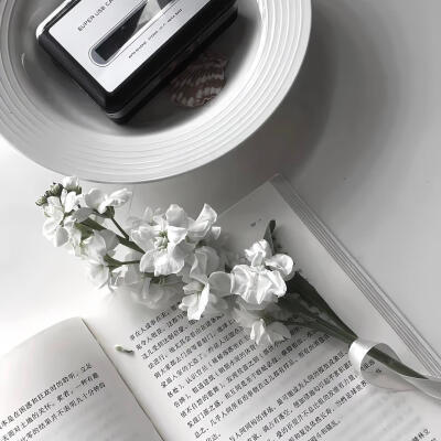 白色系背景图 简约背景图 小众背景图