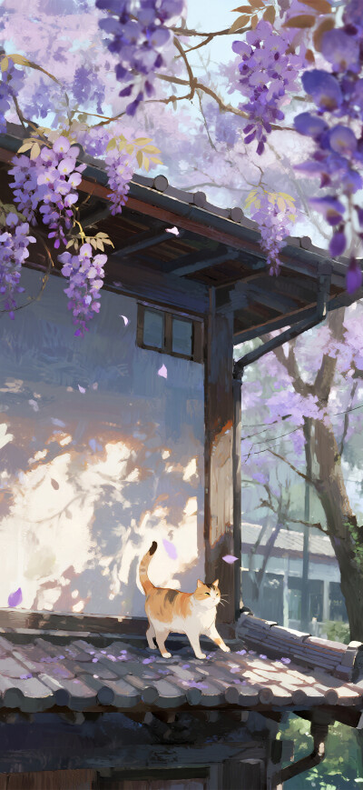 喵喵