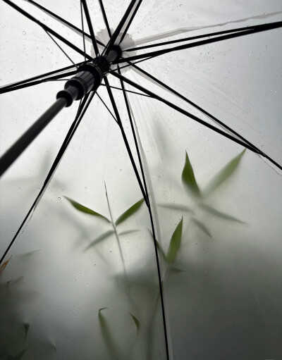 雨天背景图