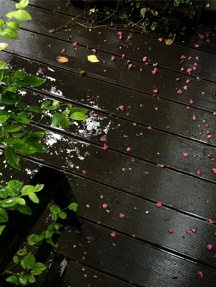雨天背景图 绿色系背景图