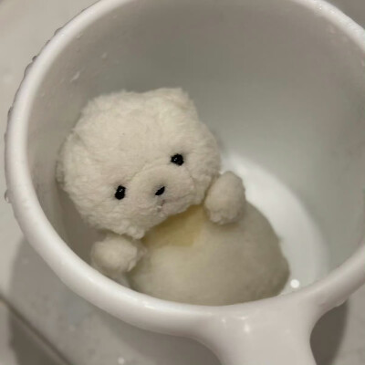 (´･ω･`)