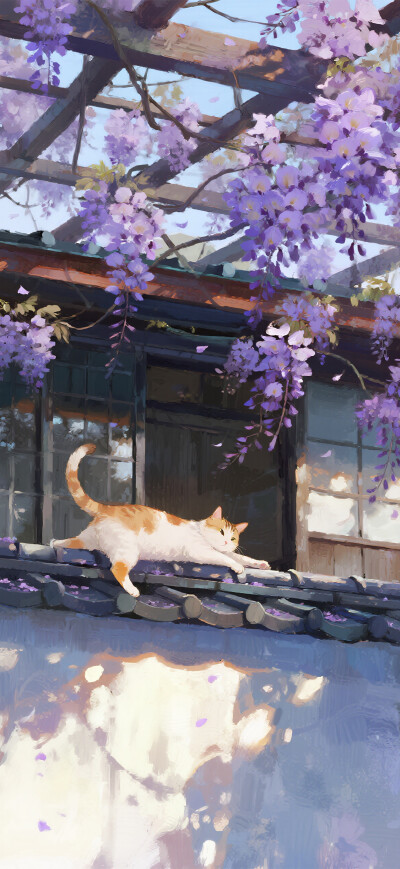 喵喵