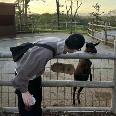 头像丨男头 世界没那么多坏事反正全是好事