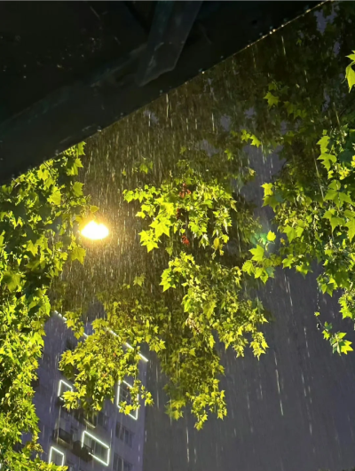 雨天背景图 绿色系背景图