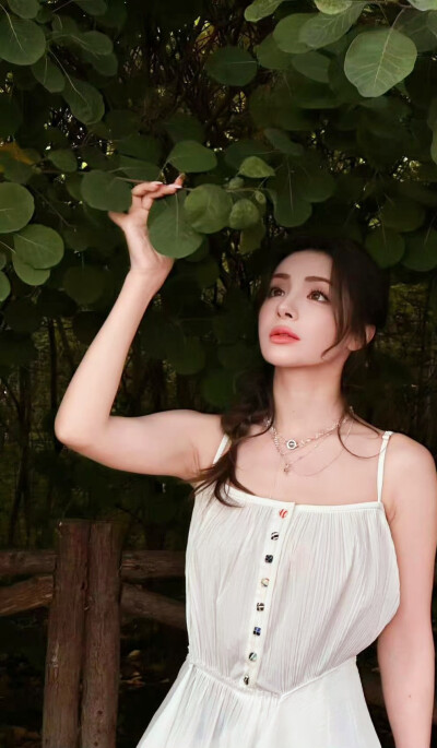 麦迪娜