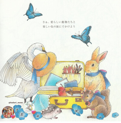 涂色