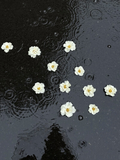 雨天背景图 黑色系背景图