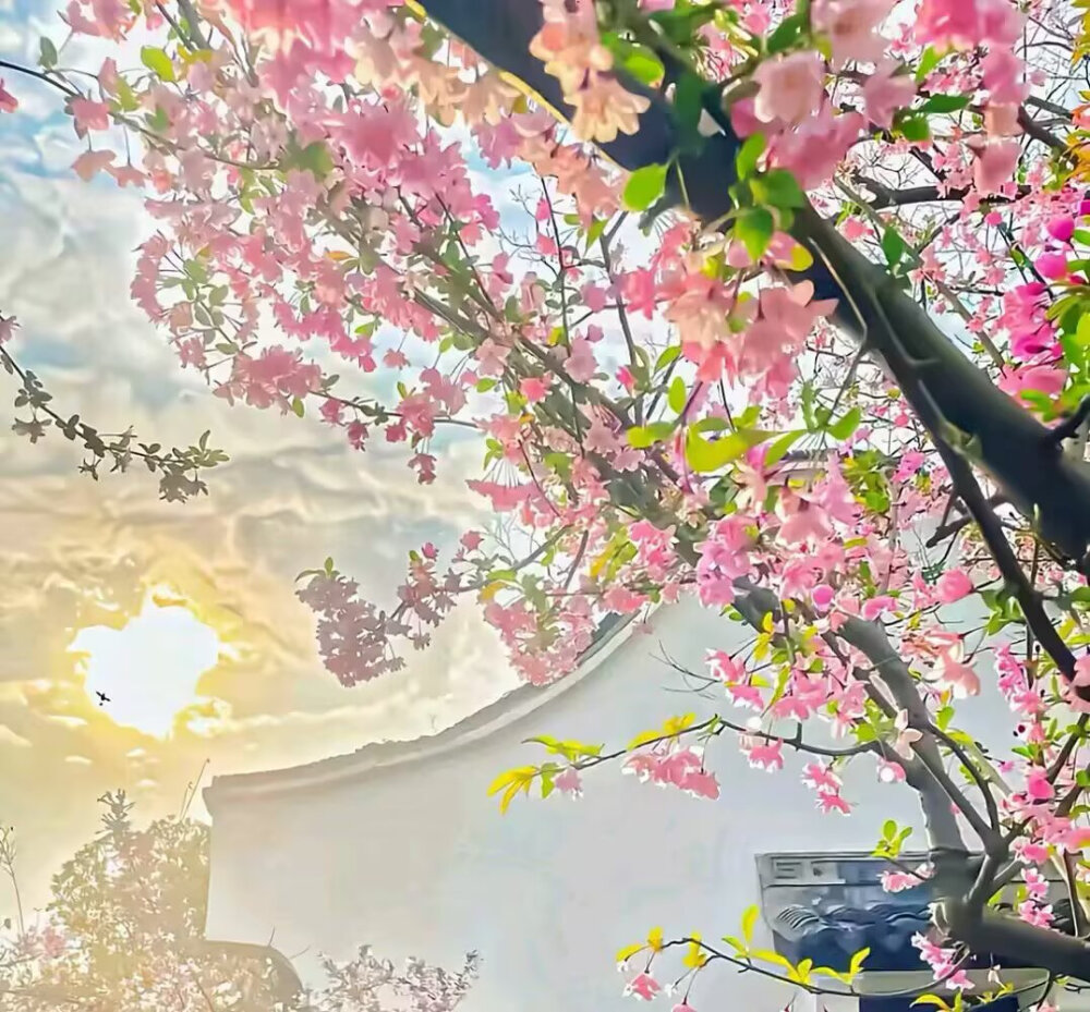 背景图