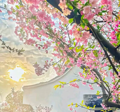 背景图