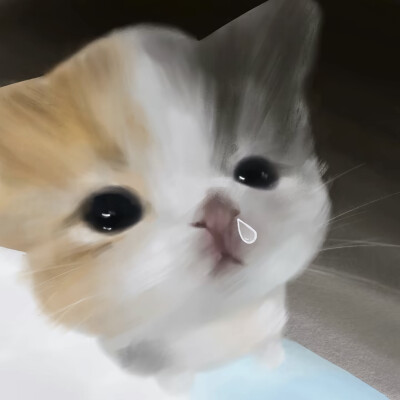 XIAOGOU 