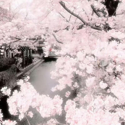 粉色系