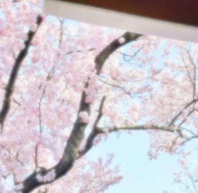 粉色系