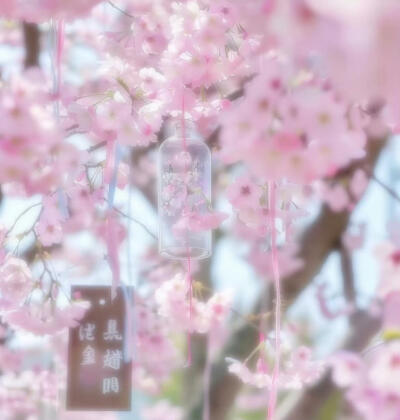 粉色系