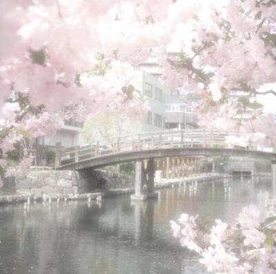 樱花粉色系