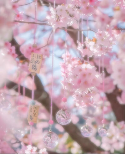 樱花粉色系