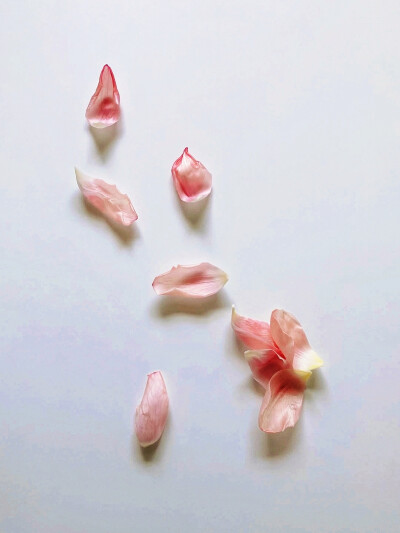 日常
窕窕