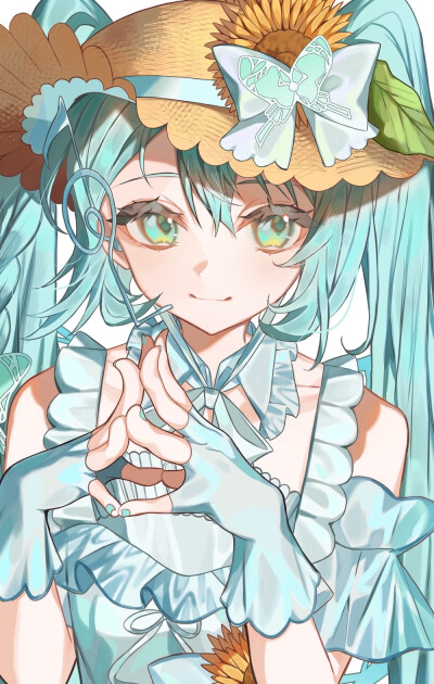 v家