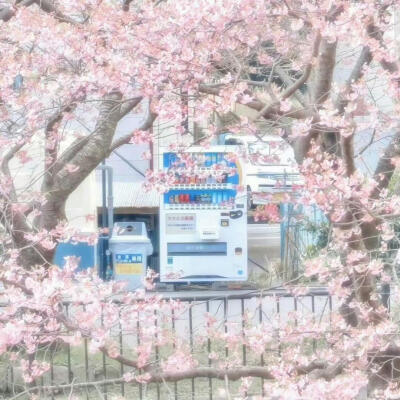粉色系