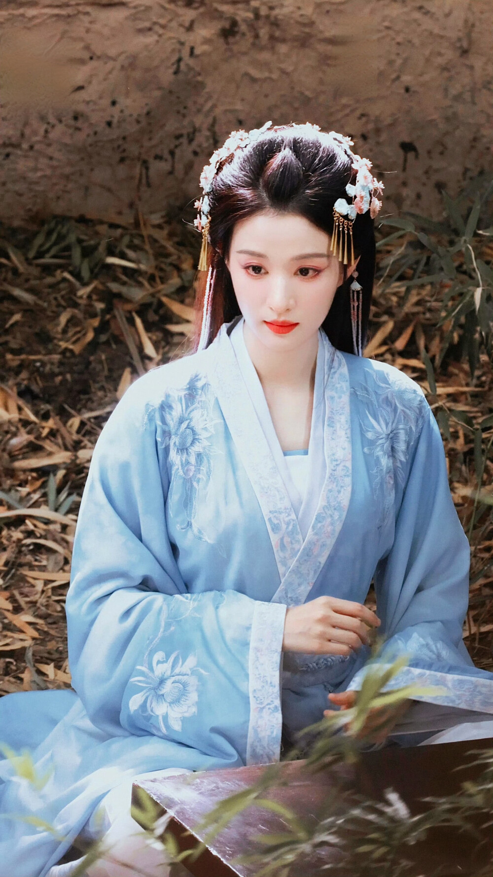 王楚然