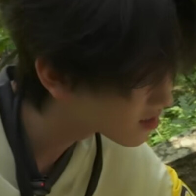 我已经不想鼠你了