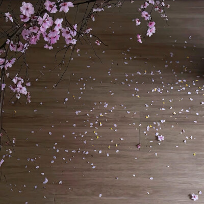 图源ks：偷喝汽水