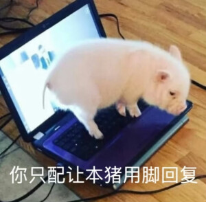 表情包