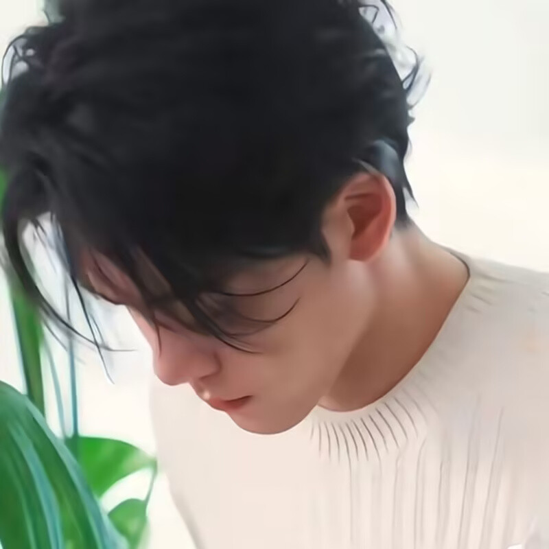 两只