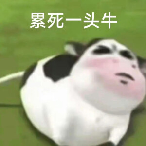 表情包