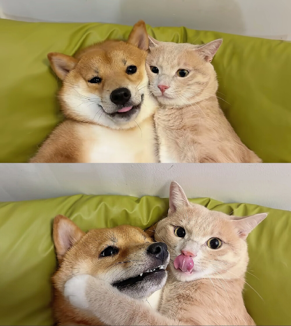 ～
