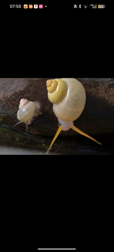 。