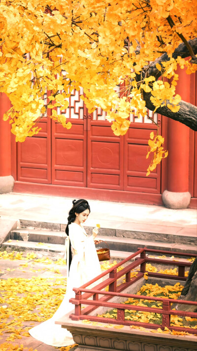 百花杀
