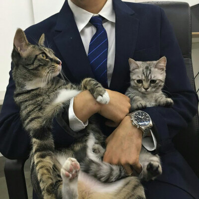 头像丨男头 我最最最爱的咪