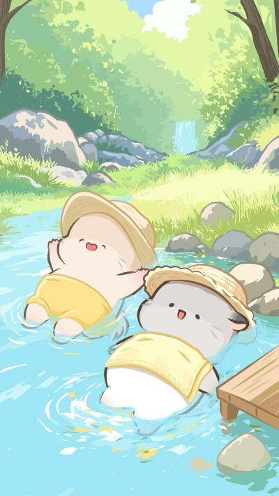 八毛和四毛夏天