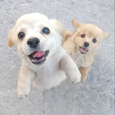 ～