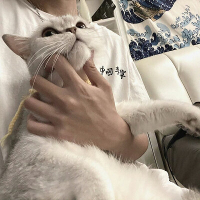 头像丨男头 我最最最爱的咪