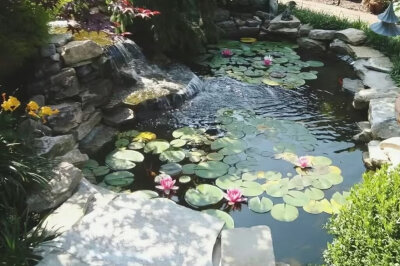 依旧审美积累