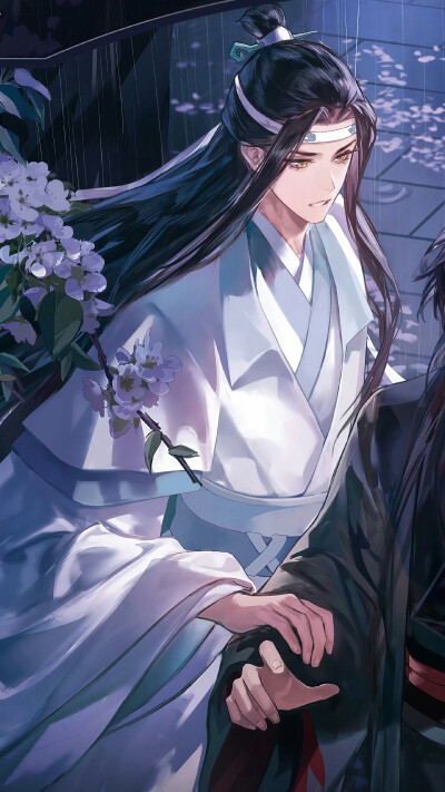 魔道祖师 魏婴/蓝湛