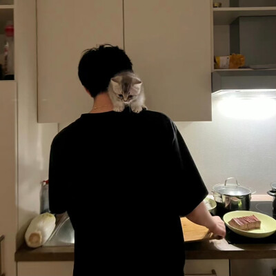 头像丨男头 哭包小姐 展信佳 我依然坚信人生而独行