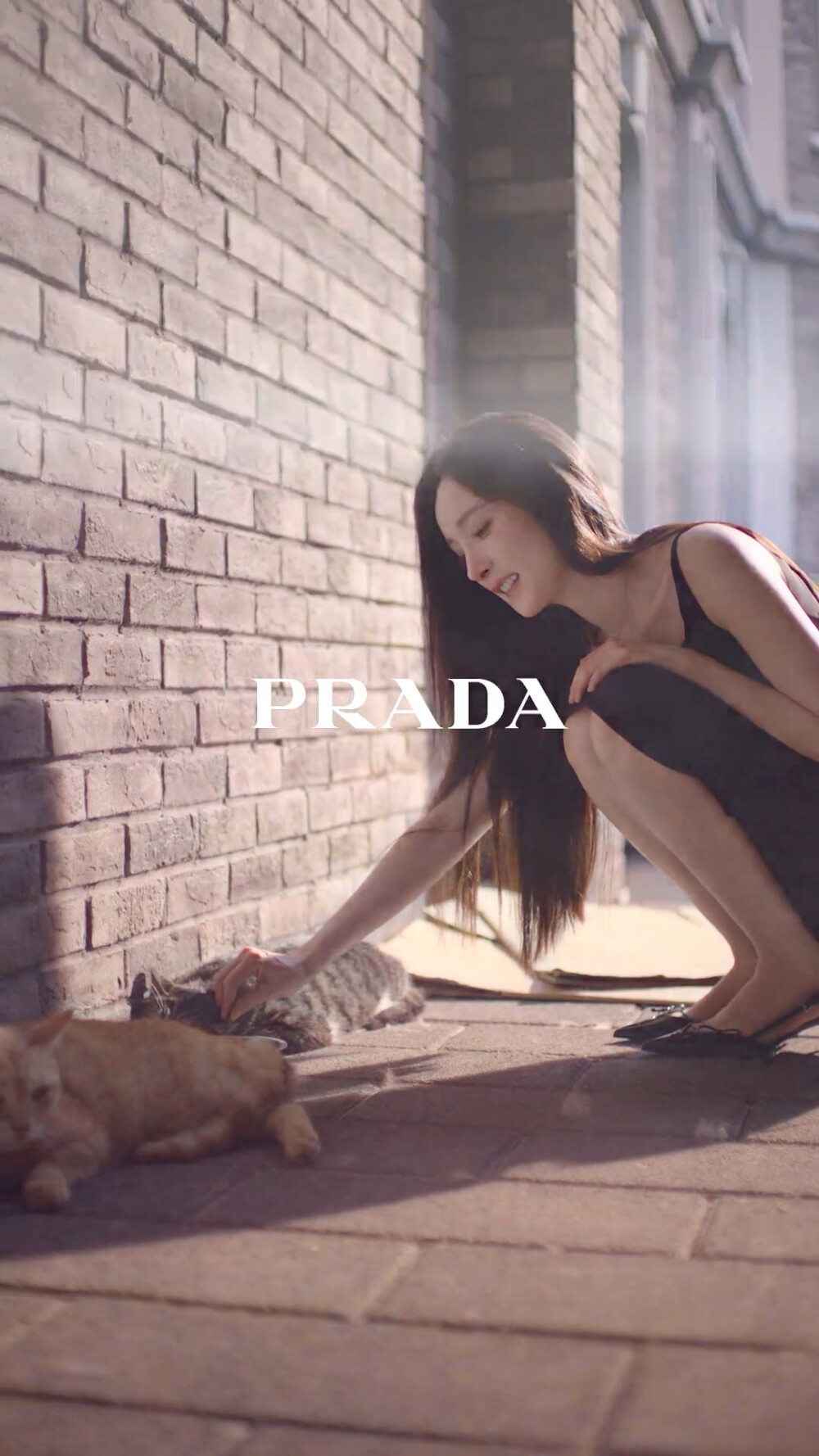 杨幂/Prada香氛代言人