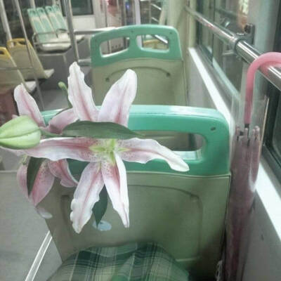青色系